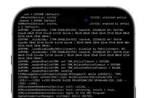This bounty hunter reported a critical bug to Apple. He only got $1,000