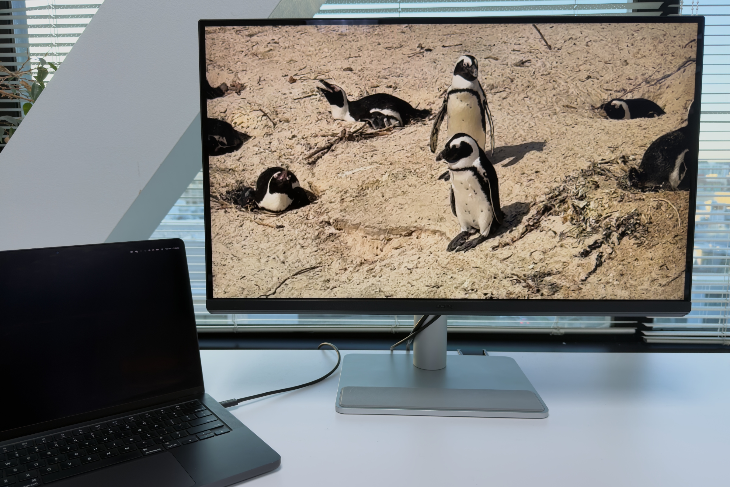 BenQ MA270U or MA270UP – Best budget Mac 4K display