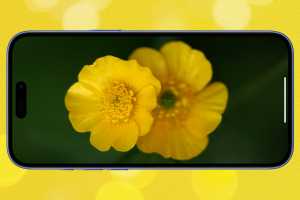 Forget iOS 26, take a stroll through Apple's 'garden' of OS code names for 2027